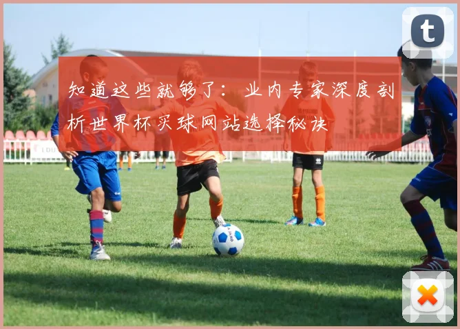 知道这些就够了：业内专家深度剖析世界杯买球网站选择秘诀