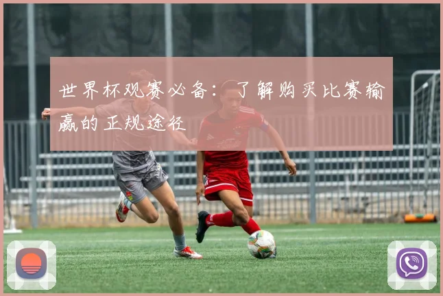 世界杯观赛必备：了解购买比赛输赢的正规途径
